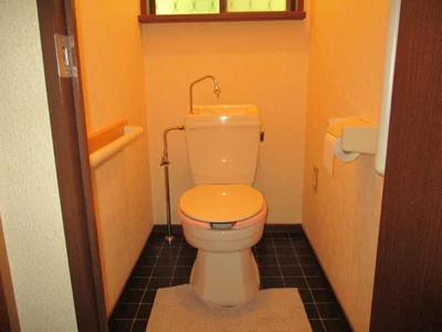 toilet toilet