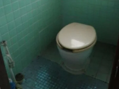 toilet