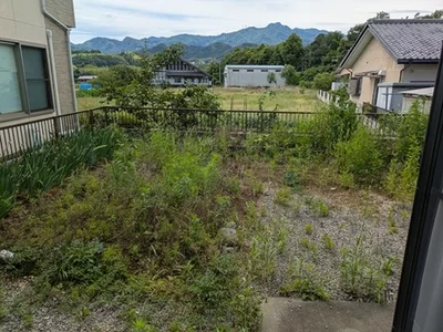 garden