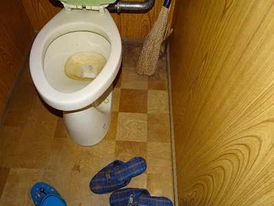 toilet