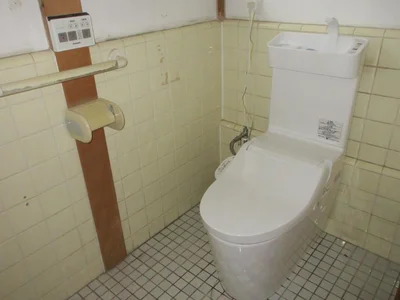 toilet