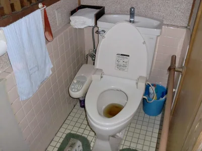 toilet