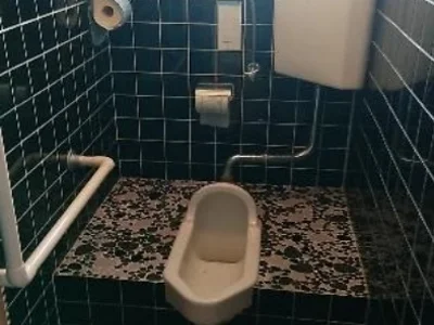 toilet