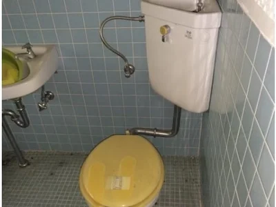 toilet toilet