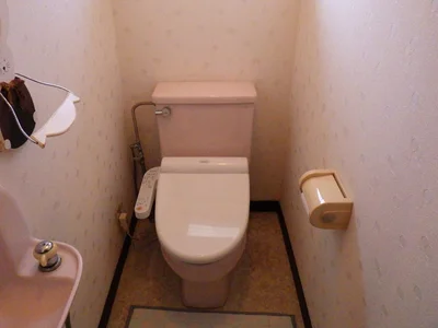 toilet toilet