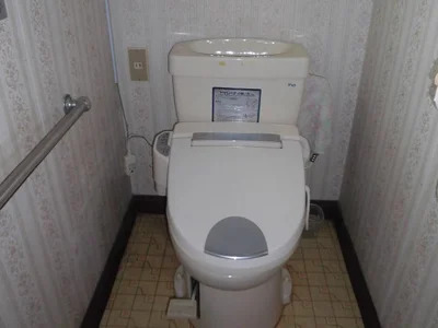 toilet