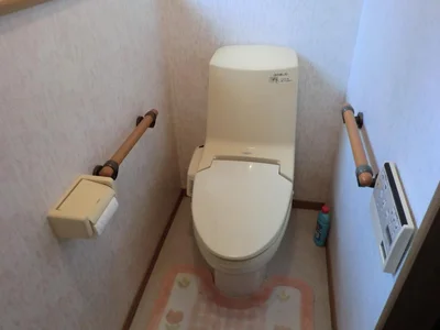 toilet