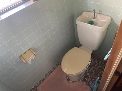 toilet