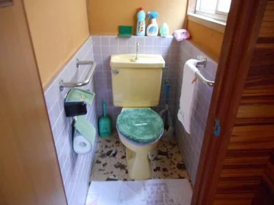 toilet