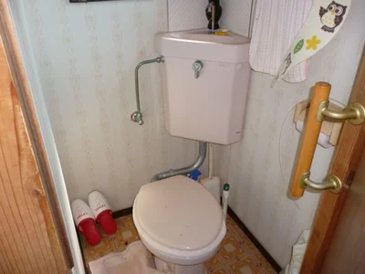 toilet toilet