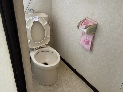 toilet