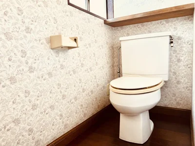 toilet