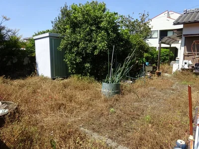 garden