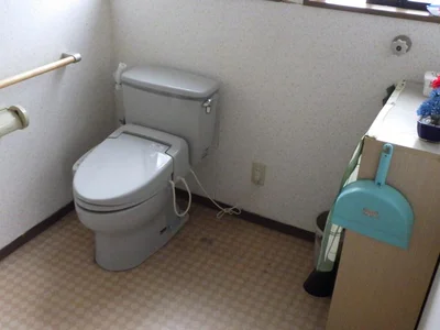 toilet
