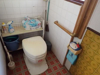 toilet