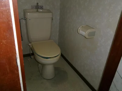 toilet