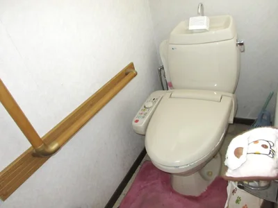 toilet