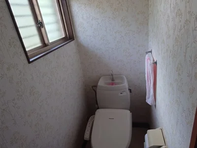 toilet