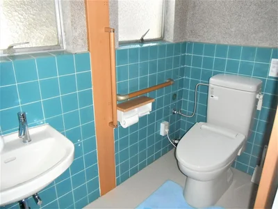 toilet