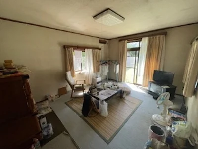 living room living room