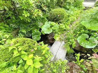 garden