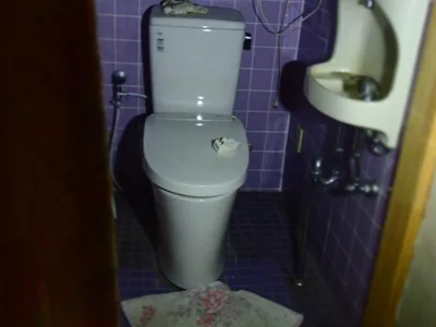 toilet