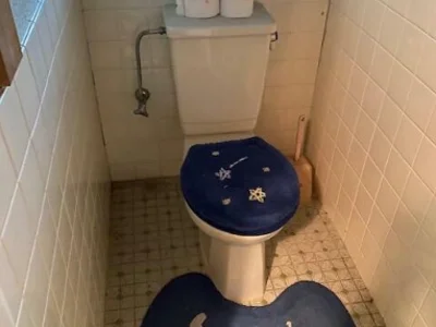 toilet