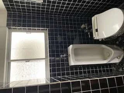 toilet toilet