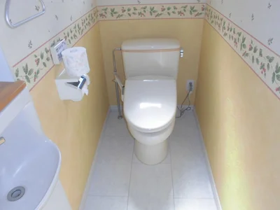 toilet