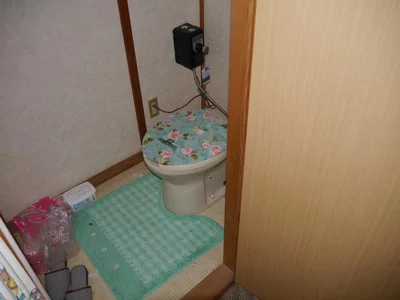 toilet
