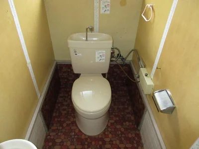 toilet toilet