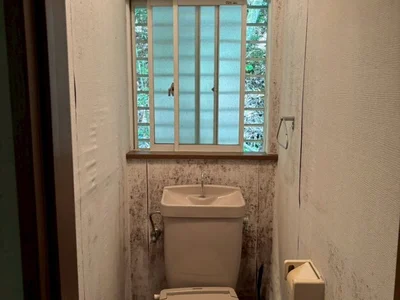 toilet