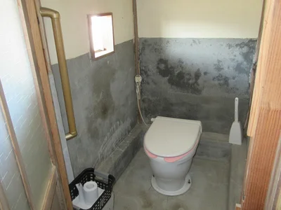 toilet