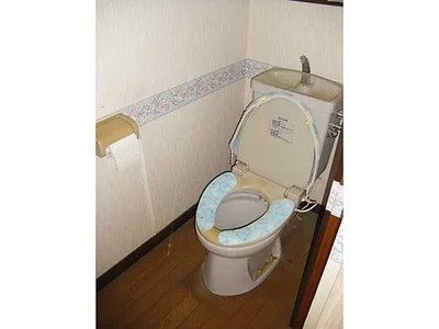 toilet
