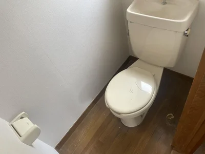 toilet toilet