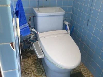 toilet