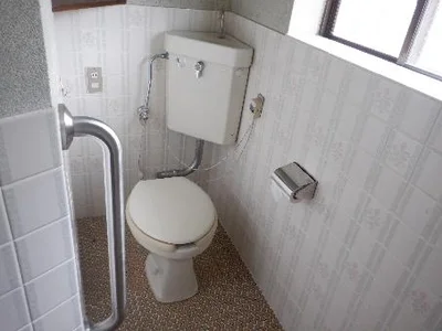 toilet