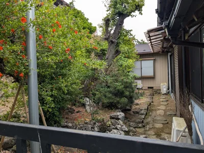 garden