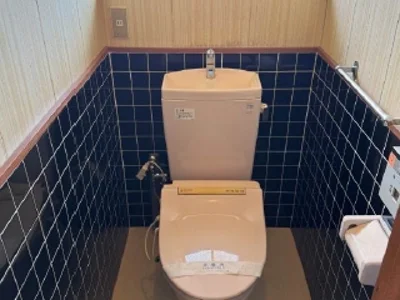 toilet toilet