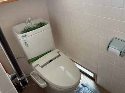 toilet
