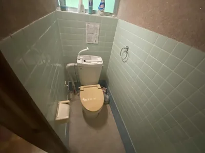 toilet
