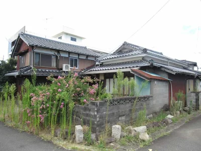 Photo 1 Photo 1
