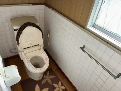 toilet toilet