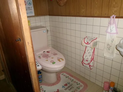toilet