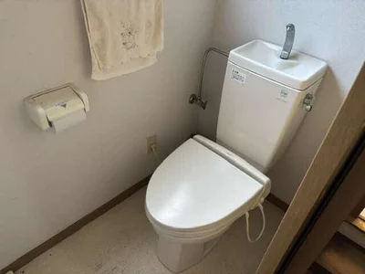 toilet toilet
