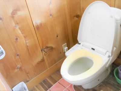 toilet toilet