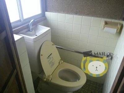 toilet toilet