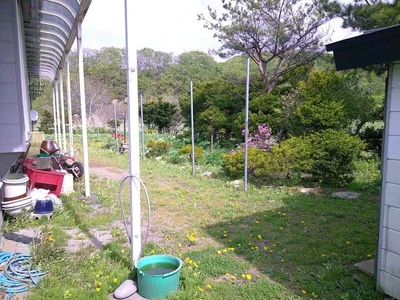 garden