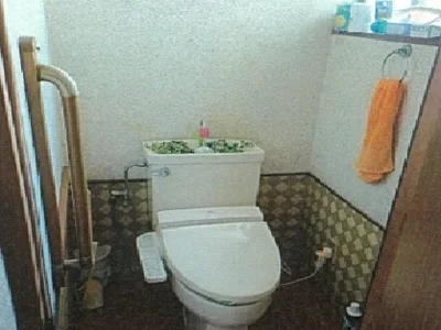 toilet