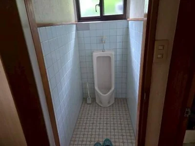toilet